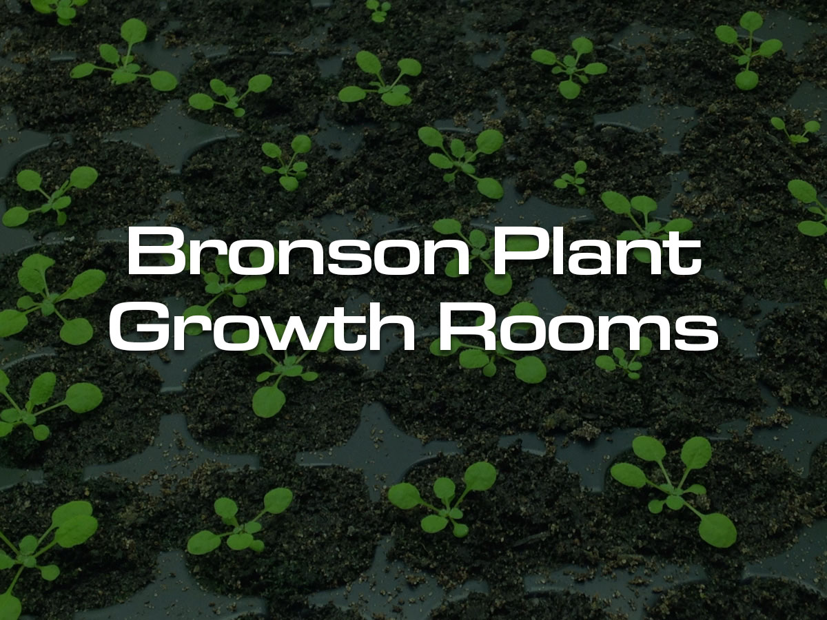 gallery-button-Bronson-Plant-Growth-Rooms Bronson Plant Growth Chamber